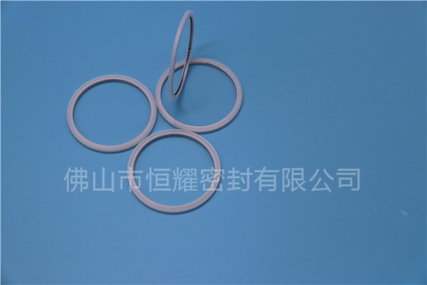 HVF、HVG端面内、外向泛塞封 (20)